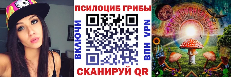 Псилоцибиновые грибы мицелий  купить  цена  гидра tor  нарко площадка официальный сайт  Альметьевск 